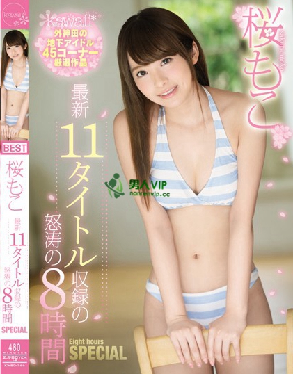 桜もこ最新11タイトル収録の怒涛の8時間SPECIAL